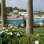Rosas De Capistrano