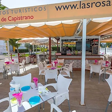 Rosas De Capistrano *