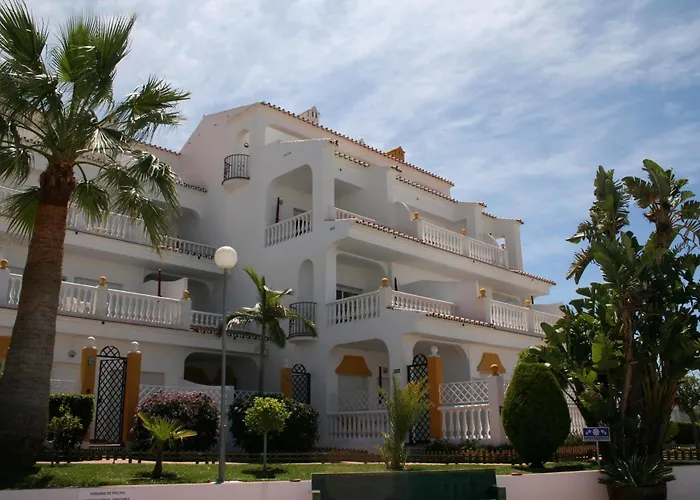 Rosas De Capistrano *