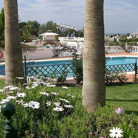 Rosas De Capistrano